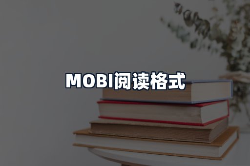 MOBI阅读格式